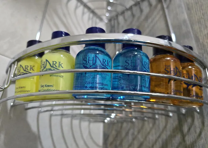 Nurel Shark キレニア